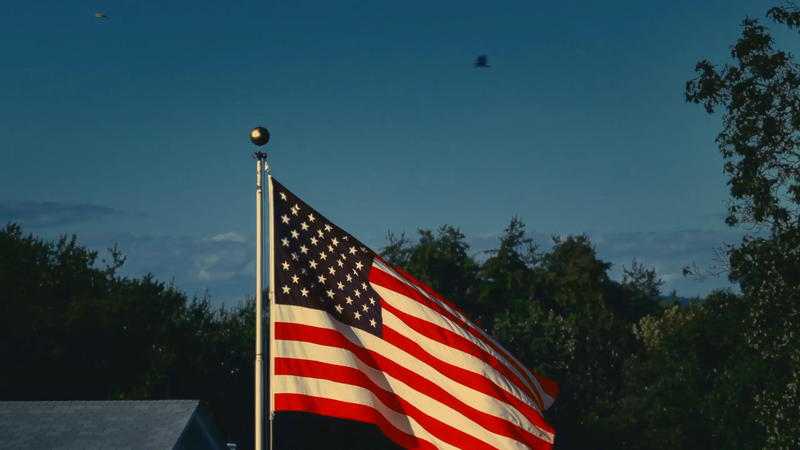 2024-11-21 21-17-09.959