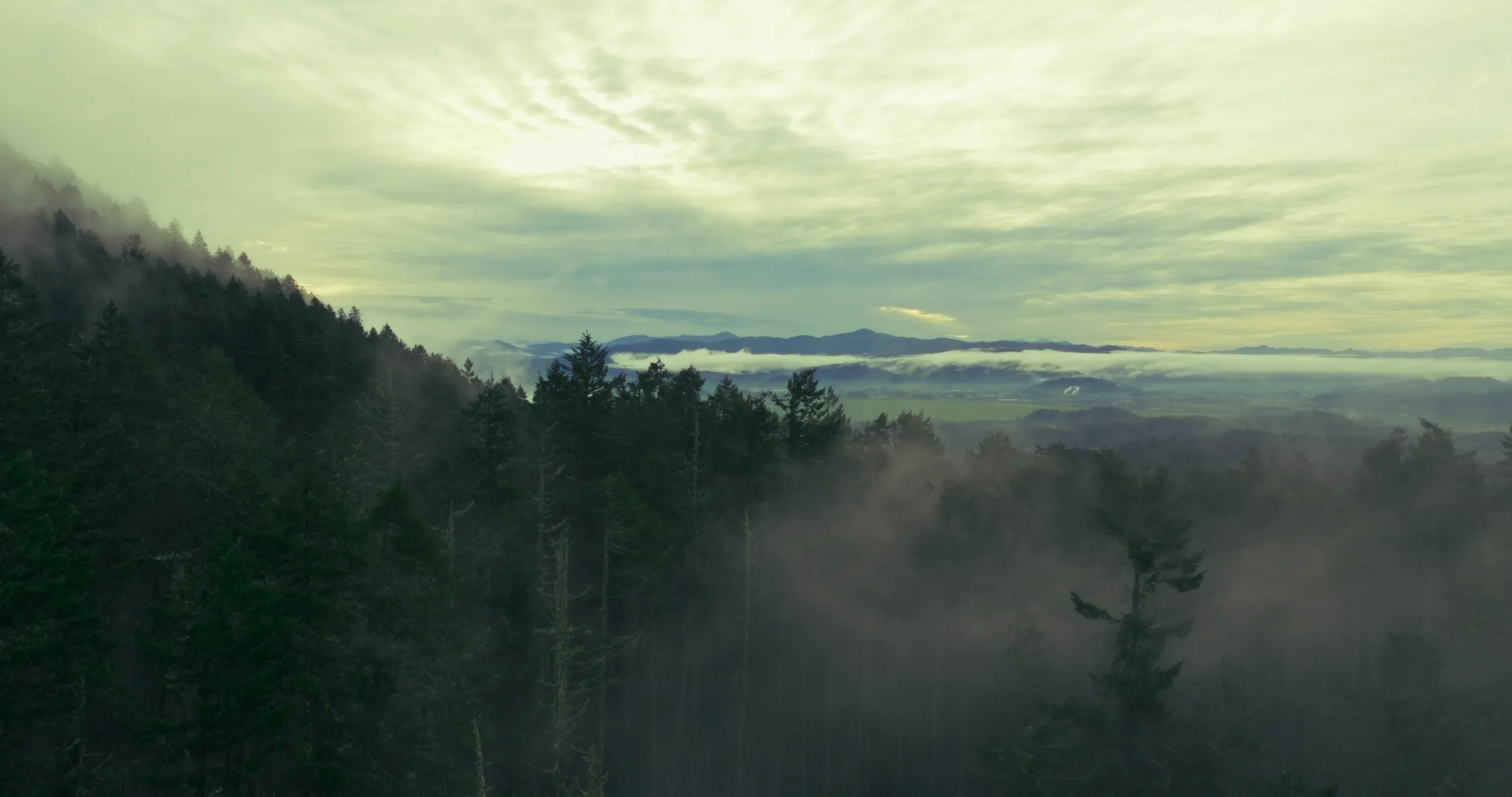 Timeline 1_01_00_00_00