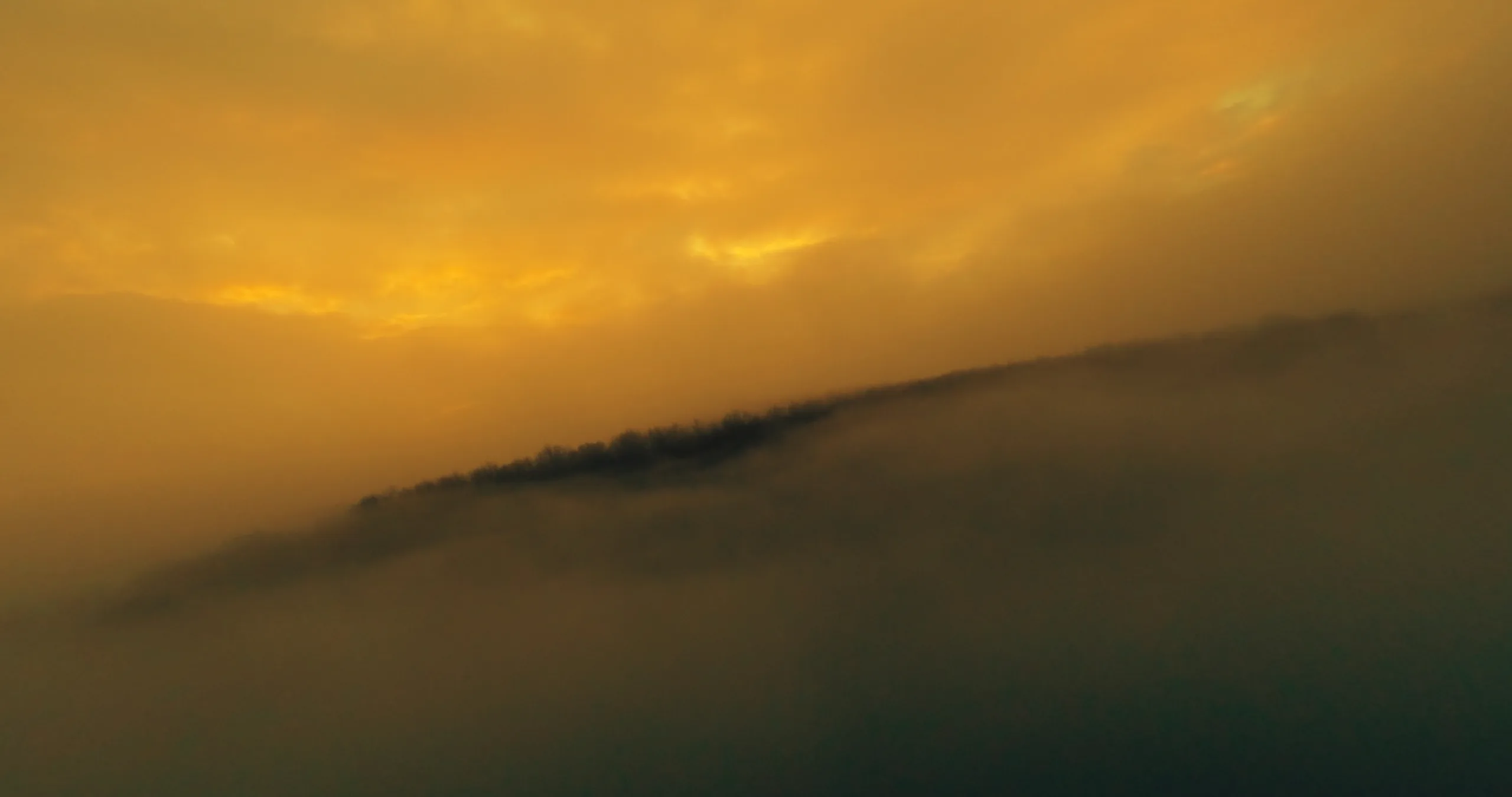 Timeline 1_01_00_13_21