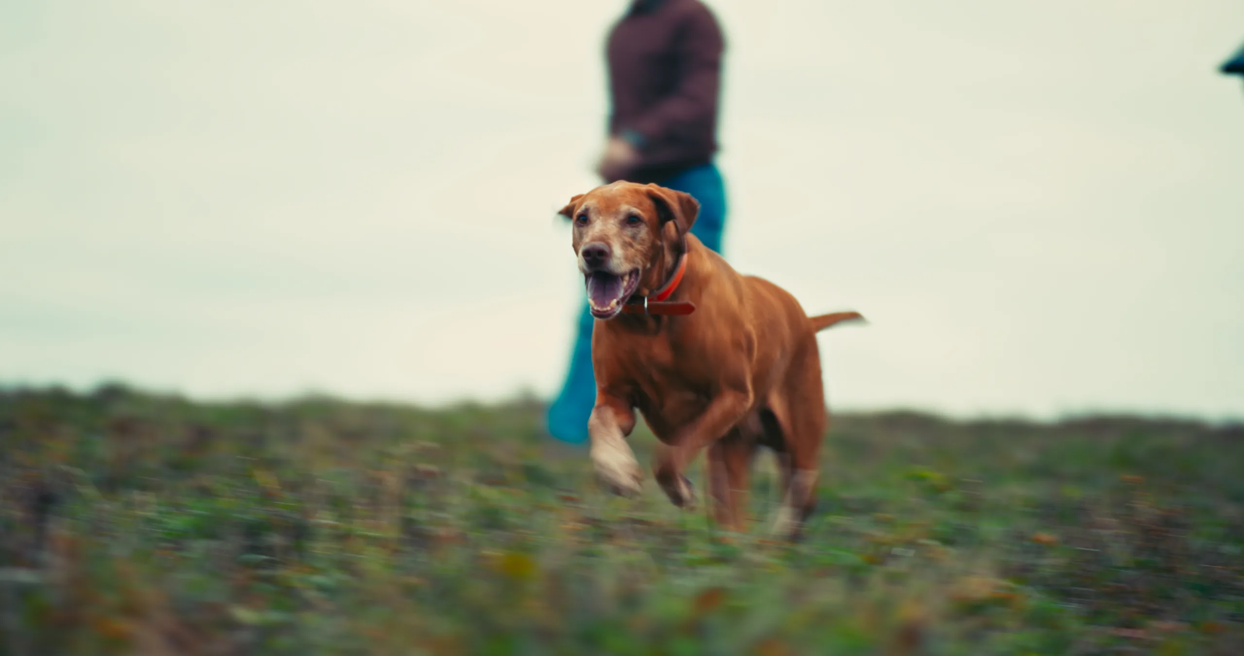 Timeline 1_01_00_16_00