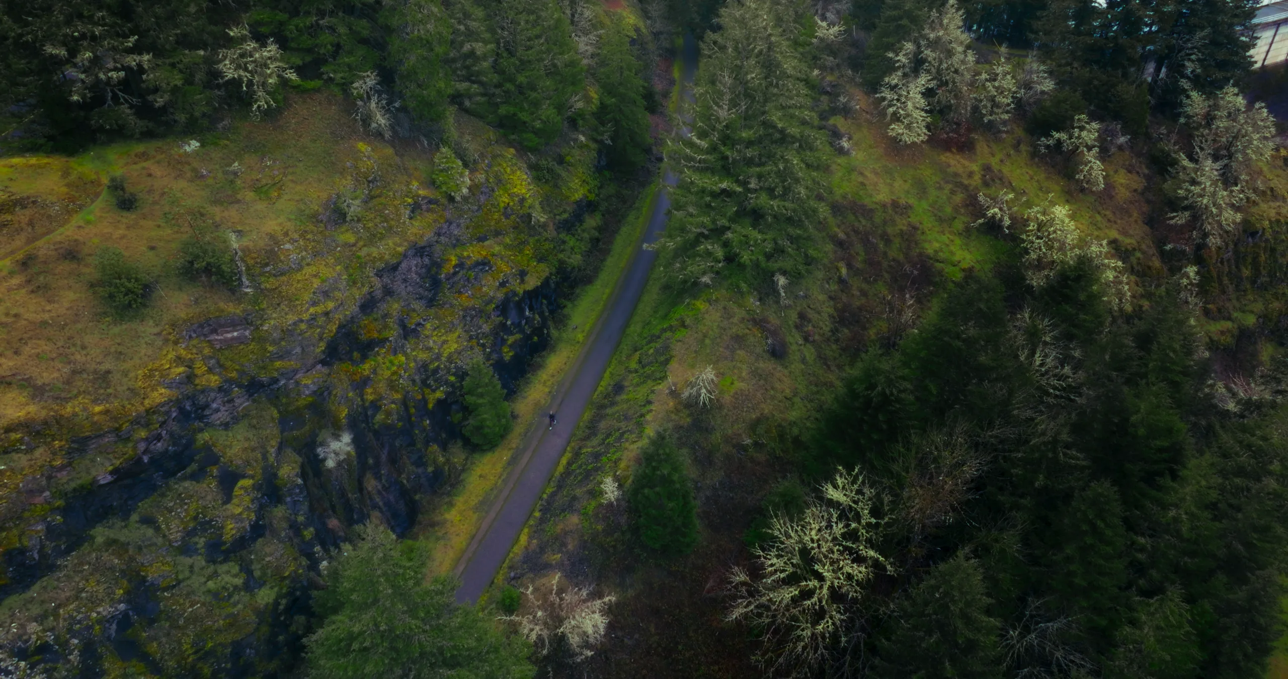 Timeline 1_01_00_17_16