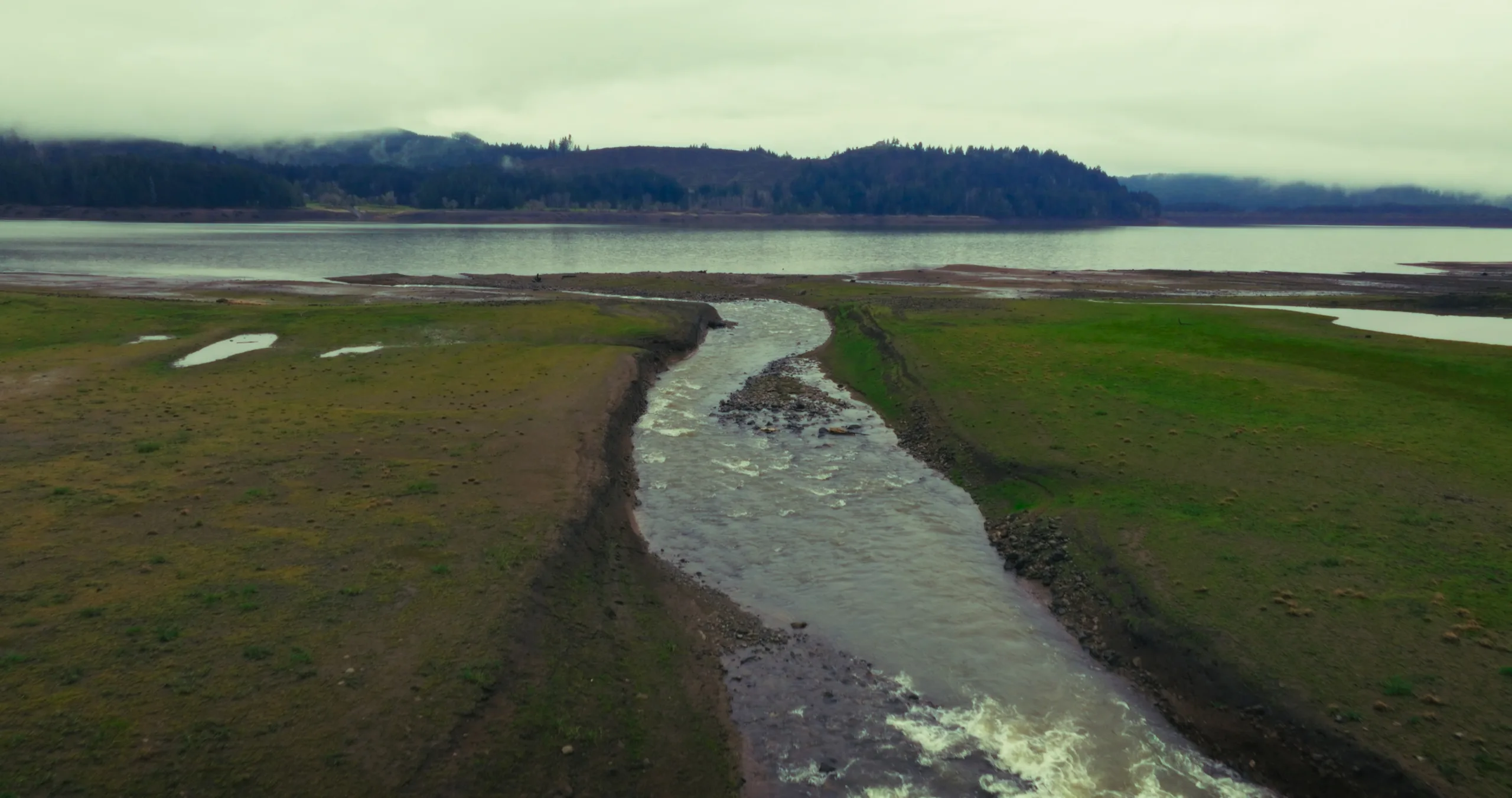 Timeline 1_01_00_19_07