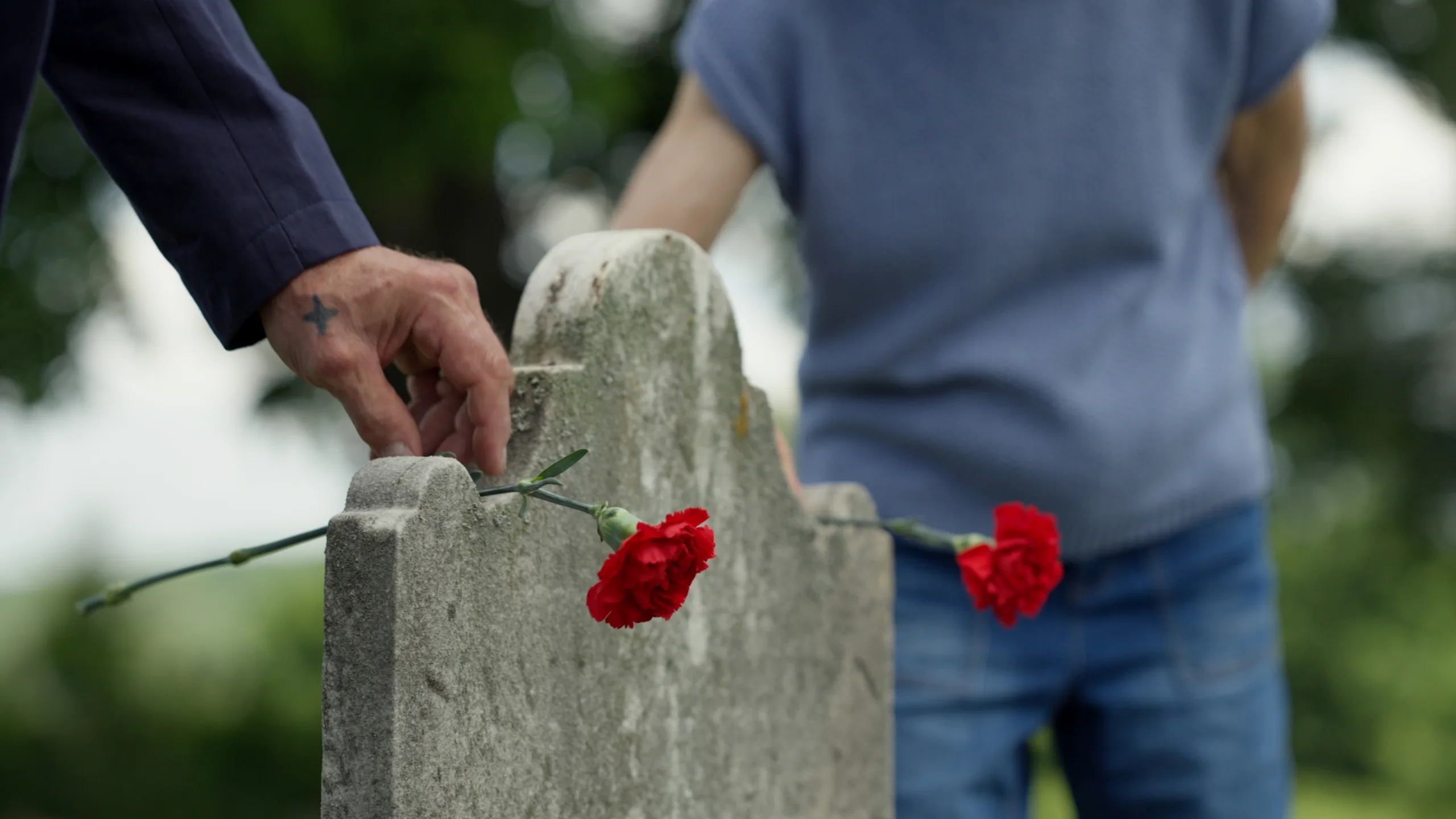 Timeline 1_13_16_55_14