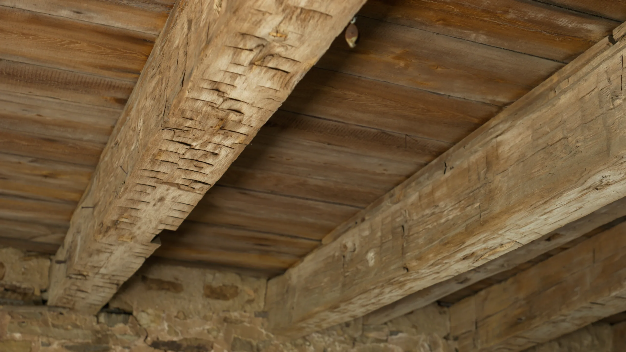 Timeline 1_13_24_42_01