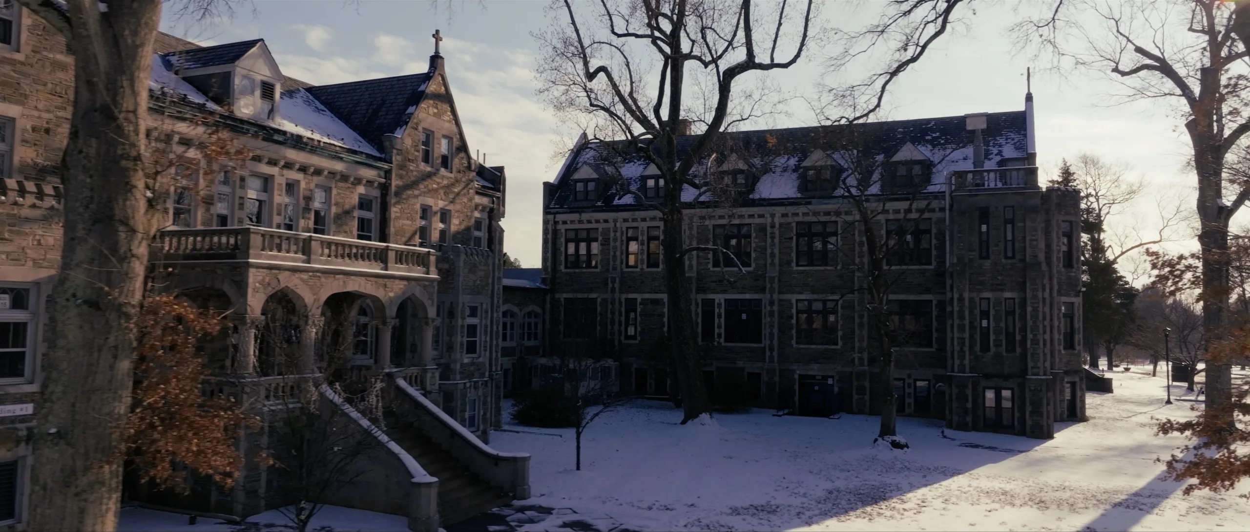 Timeline 1_01_00_00_00